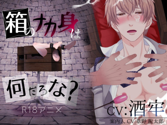 箱のナカ身は何だろな？〜新社会人〜
